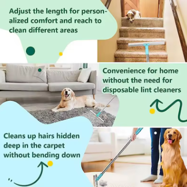 Pet Hair Remover for Floors